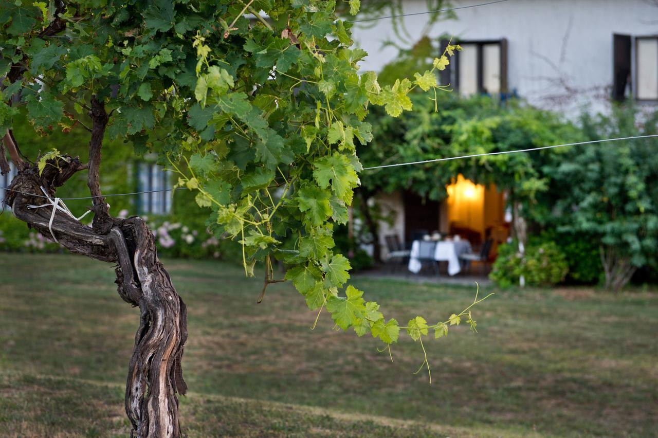 Agriturismo Tra Le Vigne Buttrio Bagian luar foto